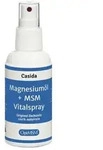 MAGNESIUM&Ouml;L+MSM Vitalspray Zechstein 100 ml