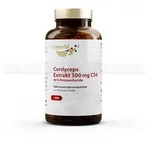 CORDYCEPS EXTRAKT 500 mg CS4 40% Polysacchar.Kaps. 100 St