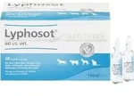 LYPHOSOT ad us.vet.Ampullen 50 St