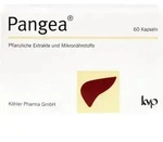 PANGEA Kapseln 60 St