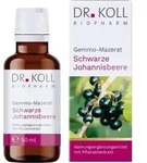 GEMMO-MAZERAT schw.Johannisbeere Dr.Koll Ribes Tro 50 ml