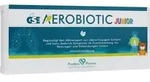 GSE Aerobiotic Junior Einm.Amp.f.Vern.Inhal.-Lsg. 50 ml