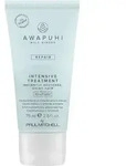 Paul Mitchell Awapuhi Wild Ginger Repair Intensive Treatment 75 ml
