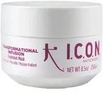 ICON Transformatin Infusion 250 g