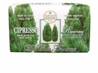 Nesti Dante Colli Fiorentini Cypress Tree 250 g