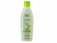 Swiss O-Par Tiefenreinigungs Shampoo 250 ml