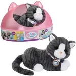 Zapf Creation BABY BORN Mein K&auml;tzchen Cookie mit Box, grau | rosa