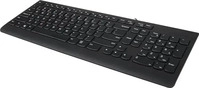 LENOVO GX30M39669, Lenovo 300 USB Keyboard - German (129)