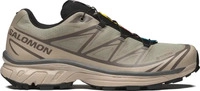 Salomon L49215100, Salomon XT-6 GORE-TEX (white pepper / silver sage / dark gull
