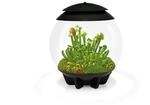 BiOrb Terrarium AIR 30 schwarz