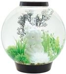 biOrb CLASSIC 60 LED schwarz (72011)