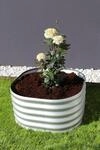 Vitavia Hochbeet Terra Rund 82 x 82 cm - 200/360/500 l 40 cm alu-natur