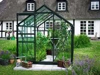 Halls Gew&auml;chshaus Popular - 6.2 m&sup2; Gr&uuml;n mit 3 mm Sicherheitsglas