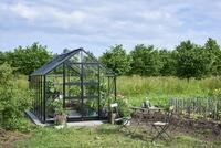 Halls Gew&auml;chshaus Blockley 2,56 x 4,41 m - 11,3 m&sup2; (Blockley 814)