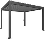 Biohort Pergola B 404,5 x T 367,5 x H 255 cm (Gr. 4x3,5) Rahmen: dunkelgrau-metallic