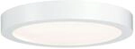 Paulmann Wandleuchte WallCeiling Lunar LED 20W