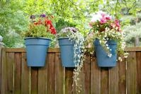 KHW Flowerclip, 3er Set, meerblau