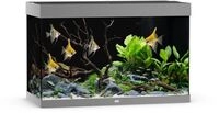 JUWEL Rio 290 LED Aquarium Set grau