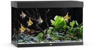 JUWEL Rio 290 LED Aquarium Set schwarz
