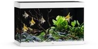 JUWEL Rio 290 LED Aquarium Set wei&szlig;