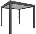 Biohort Pergola B 312 x T 312 x H 255 cm (Gr. 3x3) Rahmen: dunkelgrau-metallic /