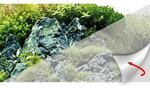 HOBBY Fotor&uuml;ckwand "Frosty" selbstklebend Aquariendekoration 120x50 Zentimeter