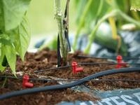 Vitavia Erweiterungs-Set zu Hydromat