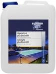 Summer Fun Algenschutz Plus Desinfekt 5l