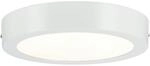 Paulmann Wandleuchte WallCeiling Lunar LED 17W