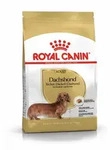 ROYAL CANIN BHN Small Breed Dachshund Adult Hundetrockenfutter 1,5 Kilogramm ROYAL CANIN BHN Small Breed Dachshund Adult Hundetrockenfutter 1,5 Kilogramm