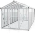 Vitavia Gew&auml;chshaus Zeus 15700 inkl. 3 Dachfenstern - 15,7 m&sup2; -Alu-blank