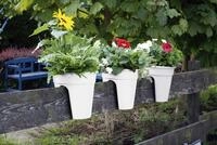 KHW Flowerclip, 3er Set, wei&szlig;-Kartonverpackung