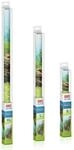 JUWEL Poster S 60x30 Zentimeter Aquariendekoration Pflanze/Stein
