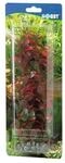 HOBBY Plant Ludwigia Aquarieneinrichtung 25 Centimeter
