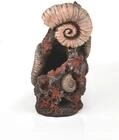 biOrb Muschelbaumstumpf Ornament