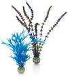 biOrb Pflanzen Set mittel blau & lila (46059)