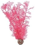 biOrb Hornkoralle mittelgro&szlig; pink (46096)
