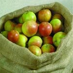 NOOR Jutes&auml;cke S natur (60 x 105 cm) 3er Pack H185