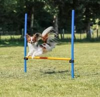 TRIXIE Fun Agility H&uuml;rde, Kunststoff, 113 &times; 110 cm, &oslash; 3 cm, blau/orange