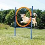 TRIXIE Fun Agility Ring, Kunststoff, 115 &times; &oslash; 3 cm, &oslash; 65 cm, blau/orange