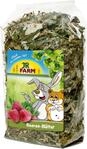 JR FARM Beerenbl&auml;tter 100g Raufutter f&uuml;r Kleintiere