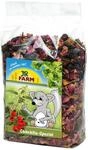 JR FARM Chinchilla-Spezial 500g Nahrungserg&auml;nzung f&uuml;r Kleintiere