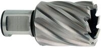 Metabo HSS-Kernbohrer 24x30 mmWeldonschaft 19 mm
