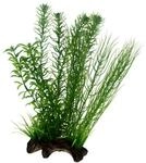HOBBY Plant Flora Root 2 Aquarieneinrichtung