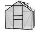 Vitavia Gew&auml;chshaus Calypso 3000 inkl. 1 Dachfenster - 3,0 m&sup2; -schwarz-4 mm
