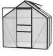 Vitavia Gew&auml;chshaus Venus 2500 inkl. 1 Dachfenster - 2,5 m&sup2;-schwarz-6 mm