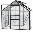 Vitavia Gew&auml;chshaus Venus 2500 inkl. 1 Dachfenster - 2,5 m&sup2;-schwarz-3 mm