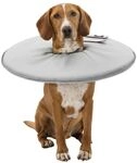 TRIXIE Schutzkragen, Polyester/Schaumstoff, XS: 23&ndash;27 cm/13 cm, grau