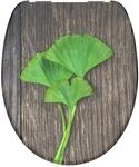 Duroplast WC-Sitz GINGKO&WOOD