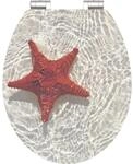 MDF HG WC-Sitz RED STARFISH